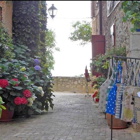 Apartment Beatrice. 10Mt To The Beach :) Rovinj Zewnętrze zdjęcie